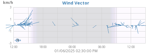 Wind Vector