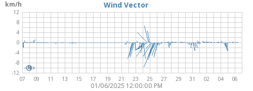 Wind Vector