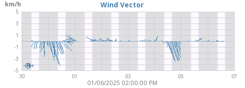 Wind Vector